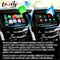 Drahtloser carplay Navigations-Selbstkasten-Videoschnittstelle Androids für Cadillac Escalade